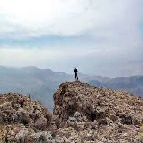 تقصیر خودت بود و خودت خواستی پر شی حالا که باختی